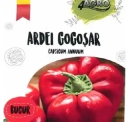 ARDEI GOGOSAR BUCUR
