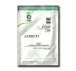 CASTRAVETI ARTIST F1