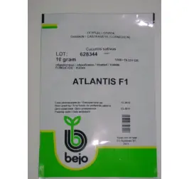 CASTRAVETI ATLANTIS F1