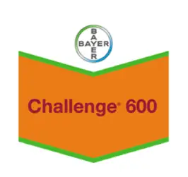 CHALLENGE 600 SC