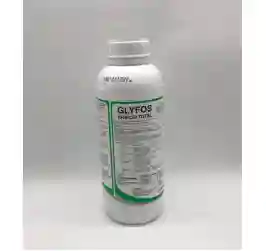 GLYPHO-266x251-15.webp