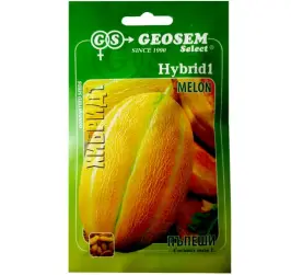 PEPENE GALBEN MELON