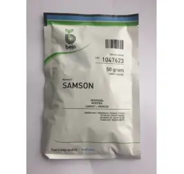 MORCOV NANTES 5-SAMSON