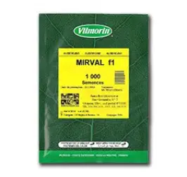 VINETE MIRVAL F1