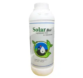 SOLAR BOR