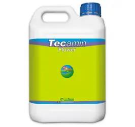 TECAMIN FLOWER