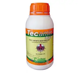TECAMIN RAIZ