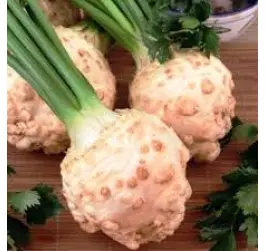 TELINA GIGANTE DI PRAGA