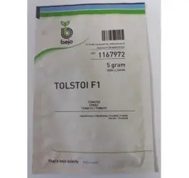 TOMATE TOLSTOI
