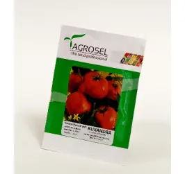 TOMATE RUXANDRA 3000SEM