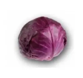 VARZA ROSIE RED JEWEL