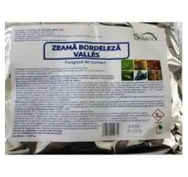 ZEAMA BORDELEZA VALLES
