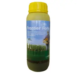 Frontier Forte