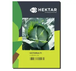 VARZA VICTORIA F1 2500 SEM 50plicuri