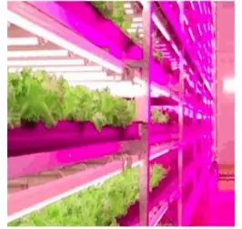Tub led crestere plante 16w