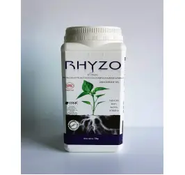 RHYZO