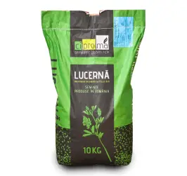 Samanta lucerna Romaneasca Teodora C1