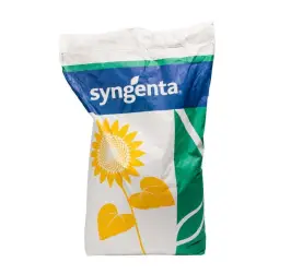 Seminte de Floarea Soarelui SUMIKO Syngenta, Express - Sac 150.000 seminte
