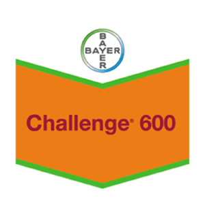 CHALLENGE 600 SC