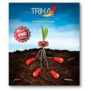 TRIKA EXPERT