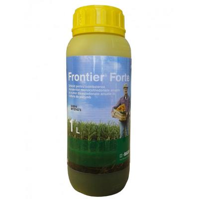 Frontier Forte